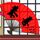 黑金